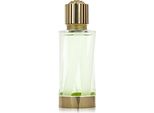 Versace Cedrat De Diamante Eau De Parfum Unisex 100 Ml