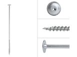 Viti A Testa Cilindrica Zincate 10 X 360 Mm Torx 40 - Confezione Da 25 Pezzi