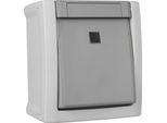 Interruttore, A Levetta, Illuminato A Superficie/Fr, Pacific, Grigio/Grigio Scuro