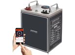 80Ah 12V Batteria Al Litio Lifepo 4 | Batteria Antigelo Con Bms, Bluetooth