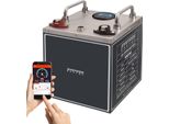 Batteria Syntrox Energy 12V 40Ah Lifepo4 Con Bluetooth E Protezione Antigelo - Batteria Al Litio Con Bms E Display Lcd
