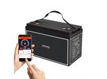 100Ah 12V Lifepo 4 Batteria Al Litio | Batteria Con Bms, Bluetooth
