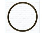 Ajusa 16022000 Guarnizione Collettore Di Aspirazione Per Vw Golf V Hatchback (1K1) Golf Vii Hatchback (5G1, BQ1, BE1, BE2) Golf Vi (5K1) Polo Hatchback (6R1, 6C1)