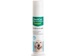 Dentifricio Enzimatico Dentican 100Ml