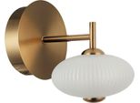 Kinkiet Led 5W Nico WL-8545-1-BK-GD Italux