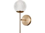 Kinkite Padri WL-40827-1-HBR-CL Italux