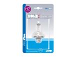 Lampadina Per Auto 12V 55W Px26D H7 In Blister