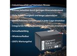 Q-Batteries 12LS-12 F2 12V 12Ah Batteria Al Piombo / Agm Vrla Con Vds