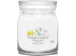 Yankee Candle - Candela Signature Midnight Jasmine 368,0G