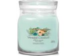 Yankee Candle - Candela Signature Aloe & Agave ( Aloe E Agave ) - Candela Profumata 368,0G
