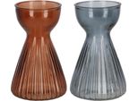 Esschert Design Esschert Vaso Per Bulbi Da Fiore Amaryllis A Coste