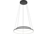 Lampada A Sospensione Nera Doppio Anello Led Circolo 3000K Nowodvorski 10814