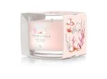 Yankee Candle - Pink Sands 37.0G