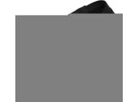 Guinzaglio Per Cani Red Dingo Nero (1,5 X 120 Cm)