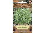 Salvia Sclarea 71739