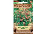 Nohel Garden Fagiolo Di Spagna Scarlatto, Miscela 03060