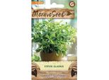 Semi Dolci Di Stevia Moravoseed