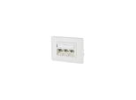 Btr Netcom 130B12D31002-E Presa RJ-45 Bianco