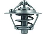 Mahle Termostato, Refrigerante Articolo: Tx 108 82D
