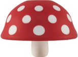 Ototo Magic Mushroom Trichter