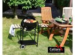 Cattara 13033 - Griglia A Carbone Messina 46Cm