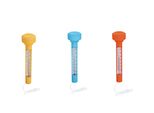 Termometro Per Piscina Bestway B58697