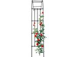 Traliccio Ad Arco Da Giardino, Design Resistente In Acciaio, Sostiene Le Piante Rampicanti, Nero