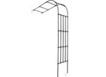 Traliccio Da Giardino, Struttura In Acciaio Resistente, Elegante Design Semicurvo, Nero