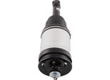 Sospensione Pneumatica Posteriore Per Land Rover Discovery 3 4 L319 LR038096