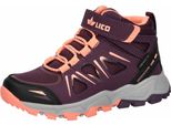 Cavallo Da Tiro Allen High Vs 32