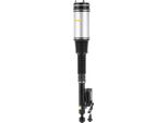 Ammortizzatore A Puntone Per Sospensione Pneumatica Posteriore Per Mercedes Classe S W220 Airmatic 2203205013