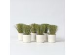 Erba Piumata – 9 Piante – Stipa Tenuifolia 'Pony Tails' – Altezza 20–30 Cm – Ø 9 Cm – Erba Ornamentale Resistente Al Freddo E Perenne – Erba Piumata Delicata Per Aiuole E Vasi Soleggiati – Facile Da Curare E Sempreverde