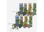 Mix Di Piante Da Frutto – 8 Piante – Piante Di Bacche Di Goji, Mirtilli, Mirtilli Rossi E Kiwi – Altezza 25–40 Cm – ⌀9 Cm – Set Di Piante Da Frutto Per Giardino, Balcone E Frullati