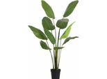 Strelitzia Nicolai Pianta Artificiale 180 Cm – Grande Pianta Decorativa A Forma Di Uccello Del Paradiso – Pianta Da Interno Che Non Richiede Cure, Ideale Per Soggiorno, Ufficio E Reception