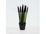Sansevieria Cylindrica – Sansevieria Cylindrica – Altezza 20-40 Cm – Ø 9 Cm – Pianta Da Appartamento Decorativa E Facile Da Curare – Pianta Succulenta Che Purifica L'aria, Adatta A Luoghi Luminosi