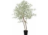 Ficus Benjamina Variegata Pianta Artificiale 185 Cm – Grande Pianta Decorativa Di Fico Variegato – Pianta Da Interno Che Non Richiede Cure, Ideale Per Soggiorno, Ufficio E Reception
