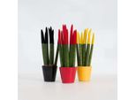 Sansevieria Sansevieria Cilindrica – 3 Piante – Sansevieria Cylindrica – Altezza 20–40 Cm – Ø 9 Cm – Pianta Succulenta Di Facile Manutenzione Con Effetto Purificante Dell'aria – Pianta D'appartamento Decorativa Con Punte Colorate
