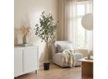 Pianta Artificiale Di Eucalipto 180 Cm – Grande Albero Di Eucalipto Decorativo – Pianta Da Interno Che Non Richiede Cure, Ideale Per Soggiorno, Ufficio E Reception