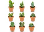 Mini Cactus Assortiti – 9 Cactus – Vasi In Terracotta Ø 8,1 Cm – Altezza 5–10 Cm – Piante Da Appartamento Facili Da Curare – Ideali Per Davanzali, Uffici E Soggiorni