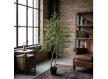 Albero Di Cassia Artificiale 180 Cm – Grande Pianta Decorativa Artificiale – Pianta Da Interno Che Non Richiede Cure, Ideale Per Soggiorno, Ufficio E Reception