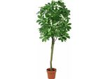Pachira Aquatica Pianta Artificiale 150 Cm – Grande Castagno Della Fortuna Artificiale – Pianta Decorativa Realistica Per Soggiorno, Ufficio E Reception