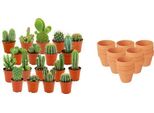 Mini Mix Di Cactus – 18 Piante – Vasi In Terracotta Ø 8,1 Cm – Altezza 5–10 Cm – Piante Da Appartamento Facili Da Curare – Ampia Scelta Di Cactus Per Davanzali, Uffici E Soggiorni