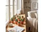 Mini Mix Di Cactus – 3 Piante – Vasi In Terracotta Ø 8,1 Cm – Altezza 5–10 Cm – Piante Da Appartamento Facili Da Curare – Piccoli Cactus Per Davanzali E Uffici