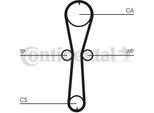 Set Di Cinghie Dentate Contitech CT915K1