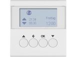 Timer Per Tende A Rullo Bianco Polare Opaco - Comando Per Tende A Rullo 85741188