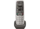 Gigaset E560HX - Microtelefono Cordless Con Id Chiamante - DECT-GAP - Platino (S30852-H2766-B101)