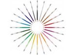 Matita Colorata Bic Kids Evolution Illusion Cancellabile Confezione Da 24 Pezzi