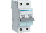 Interruttore 2P B 20A 6Ka Ac MBN220E