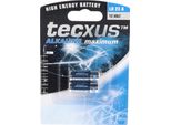 Tecxus 59580 Batteria Alcalina Massima LR23, 2 Pezzi In Blister, Blu-Argento - Batteria Alcalina Al Manganese (Alcalina), 12 V