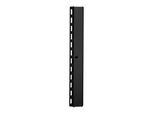 Digitus DN-19 ORG-42U-B Canalina Per Cavi Da 19", 42 U, Lamiera D'acciaio, Nera"